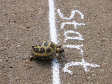 How Short-Term Savings Buys Freedom Today and Wealth Tomorrow